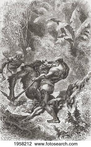 Stock Image - A Dayak Native From Borneo Fighting With An Orangutan In The 19Th Century. From El Mundo En La Mano, Published 1878.. Fotosearch