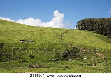 Picture - A Dirt Road Through A Grass Field With A Fence And Various Farm Objects; Northumberland England. Fotosearch