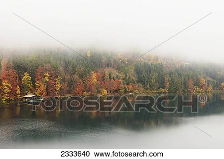Stock Image - A Dock Along The Edge Of Lake Alpsee With Autumn Colours And Fog; Fussen, Bavaria, Germany. Fotosearch