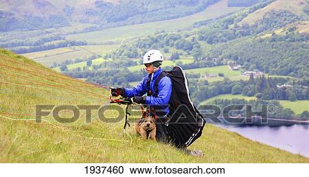 Stock Image - A Dog Getting Ready To Paraglide; Pooley Bridge Cumbria England. Fotosearch