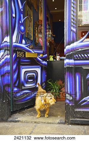 Stock Image - A dog stands in the open doorway of a shop, Portobello Road Market; London, England. Fotosearch