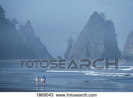 A Family Walking Along The Beach; Olympic National Park, Wa, Usa View Large Photo Image Stock Image - A Family Walking Along The Beach; Olympic National Park, Wa, Usa. Fotosearch