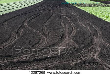 Stock Photography - A farm field is ploughed and ready for planting of crops; Surrey, British Columbia, Canada. Fotosearch