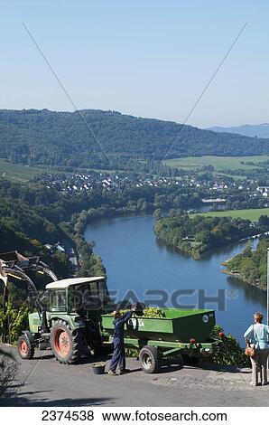 Stock Photo - A farmer with his tractor on a road high above the Moselle river; Mosel, Germany. Fotosearch