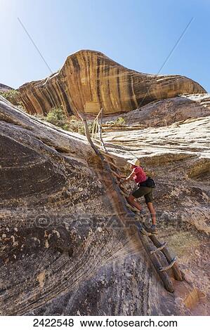 A female hiker climbs a wooden ladder in the Natural Bridges National Monument; Utah, United States of America View Large Photo Image Stock Photo - A female hiker climbs a wooden ladder in the Natural Bridges National Monument; Utah, United States of America. Fotosearch