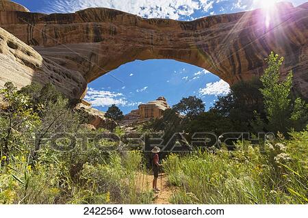 Picture - A female hiker looks at the rock bridge named Sipapu in the Natural Bridges National Monument; Utah, United States of America. Fotosearch