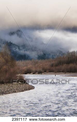 A fisherman trying his luck for spawning salmon on the Squamish River; British Columbia, Canada View Large Photo Image Stock Photo - A fisherman trying his luck for spawning salmon on the Squamish River; British Columbia, Canada. Fotosearch