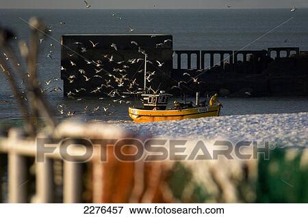 Stock Photo - A flock of birds around the snow covered fishing boats and nets, Old Town; Hastings, East Sussex, England. Fotosearch