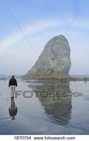 A Fog Bow On The Olympic Coast; Olympic National Park, Washington, Usa View Large Photo Image Picture - A Fog Bow On The Olympic Coast; Olympic National Park, Washington, Usa. Fotosearch