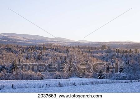 A Forest And Field Covered With Snow And Mountains In The Background; West Bolton Quebec Canada View Large Photo Image Stock Image - A Forest And Field Covered With Snow And Mountains In The Background; West Bolton Quebec Canada. Fotosearch