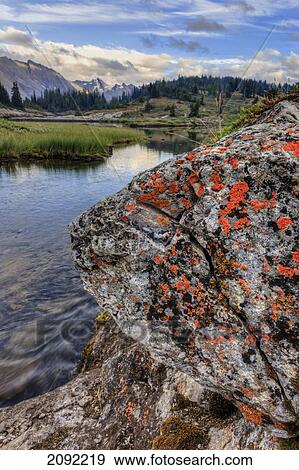 Stock Photo - A Gentle Stream Flows Out Of Baker Lake Through The Skoki Wilderness In Banff National Park; Banff Alberta Canada. Fotosearch