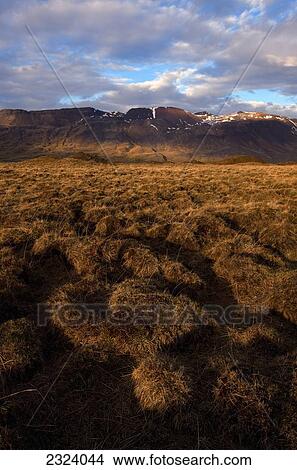 A glacial landscape covered in fine grasses and mosses in central Iceland; Iceland View Large Photo Image Picture - A glacial landscape covered in fine grasses and mosses in central Iceland; Iceland. Fotosearch