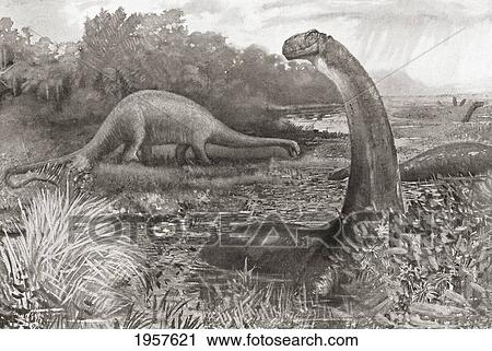 Stock Image - A Group Of Brontosaurs, Or Thunder Saurians. From The Century Illustrated Monthly Magazine, May To October 1904.. Fotosearch