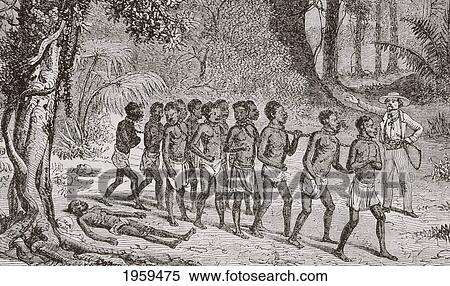 A Group Of Captured Africans Being Led Away By A White Slaver. From L'univers Illustre Published In Paris In 1868. View Large Photo Image Stock Photography - A Group Of Captured Africans Being Led Away By A White Slaver. From L'univers Illustre Published In Paris In 1868.. Fotosearch