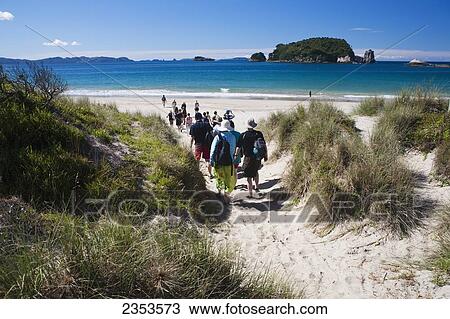 Stock Image - A Group Of People Head To The Beach On The Coastal New Zealand Beaches Of The Corremandal Peninsula; Hahei, New Zealand. Fotosearch