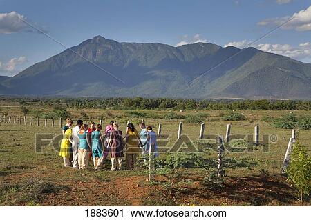 A Group Of People Holding Hands In A Circle And Praying Together In A Field; Sathyamangalum, Tamil Nadu, India View Large Photo Image Stock Image - A Group Of People Holding Hands In A Circle And Praying Together In A Field; Sathyamangalum, Tamil Nadu, India. Fotosearch