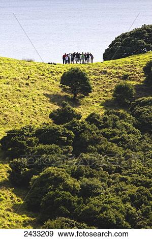 Stock Photo - A group of people stand posing on the lush landscape with the ocean in the background; Urupukapuka Island, New Zealand. Fotosearch