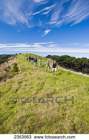 A Group Of People Walking In A Row Along A Grassy Ridge; Urupukapuka Island, New Zealand View Large Photo Image Stock Image - A Group Of People Walking In A Row Along A Grassy Ridge; Urupukapuka Island, New Zealand. Fotosearch