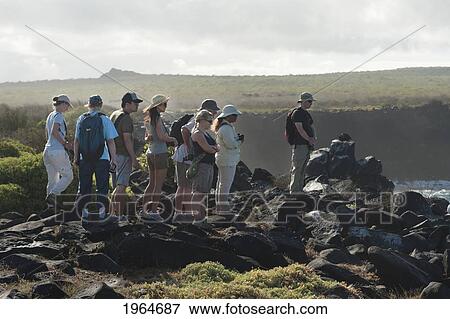 Stock Photo - A Group Of People Walking On Rugged Terrain; Punta Suarez Galapagos Equador. Fotosearch