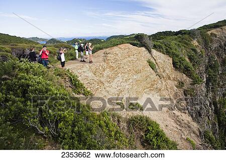 A Group Of Tourists Take Photographs From A Ridge Overlooking An Island In The Bay Of Islands; Urupukapuka Island, New Zealand View Large Photo Image Stock Image - A Group Of Tourists Take Photographs From A Ridge Overlooking An Island In The Bay Of Islands; Urupukapuka Island, New Zealand. Fotosearch