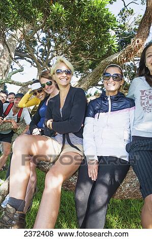 A Group Poses In A Tree For A Photo On Urupukapuka Island; Bay Of Islands, New Zealand View Large Photo Image Stock Photo - A Group Poses In A Tree For A Photo On Urupukapuka Island; Bay Of Islands, New Zealand. Fotosearch