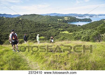 A Group Walks On A Trail On Urupukapuka Island; Bay Of Islands, New Zealand View Large Photo Image Stock Image - A Group Walks On A Trail On Urupukapuka Island; Bay Of Islands, New Zealand. Fotosearch
