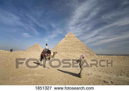 A Guide Leading A Camel And Passenger By The Pyramids View Large Photo Image Stock Photo - A Guide Leading A Camel And Passenger By The Pyramids. Fotosearch