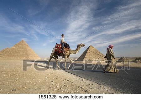 Stock Photo - A Guide Leading A Camel And Passenger By The Pyramids; Cairo, Egypt, Africa. Fotosearch
