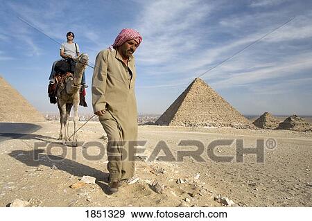 A Guide Leading A Camel And Passenger By The Pyramids; Cairo, Egypt, Africa View Large Photo Image Stock Photo - A Guide Leading A Camel And Passenger By The Pyramids; Cairo, Egypt, Africa. Fotosearch