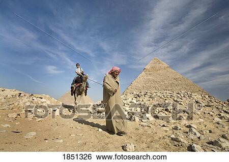 A Guide Leading A Camel And Passenger By The Pyramids View Large Photo Image Stock Photograph - A Guide Leading A Camel And Passenger By The Pyramids. Fotosearch