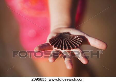 Stock Photography - A Hand Holding A Seashell; Gold Coast Queensland Australia. Fotosearch