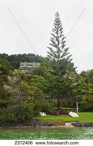 A Holiday Home On A Secluded Island; Bay Of Islands, New Zealand View Large Photo Image Stock Photograph - A Holiday Home On A Secluded Island; Bay Of Islands, New Zealand. Fotosearch