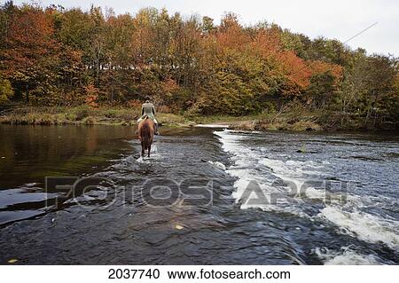 Stock Image - A Horse And Rider Crossing The River In Autumn; Northumbeland England. Fotosearch