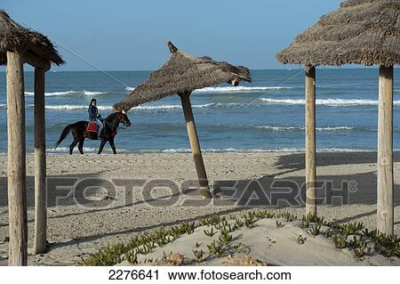 A horse ride operator looking for business from tourists on an almost deserted beach; Djerba, Tunisia View Large Photo Image Stock Image - A horse ride operator looking for business from tourists on an almost deserted beach; Djerba, Tunisia. Fotosearch