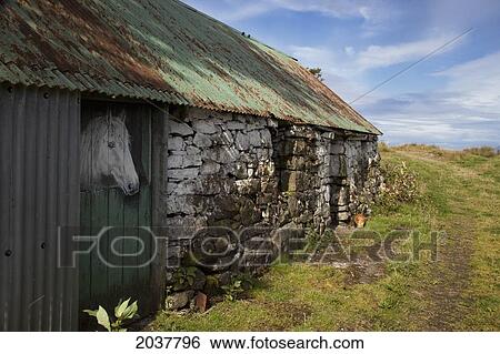 A Horse's Head Peeks Out A Stable Door; Argyll Scotland View Large Photo Image Stock Photograph - A Horse's Head Peeks Out A Stable Door; Argyll Scotland. Fotosearch