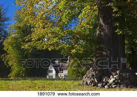 Stock Photo - A House Surrounded By Large Trees; North Yorkshire, England. Fotosearch