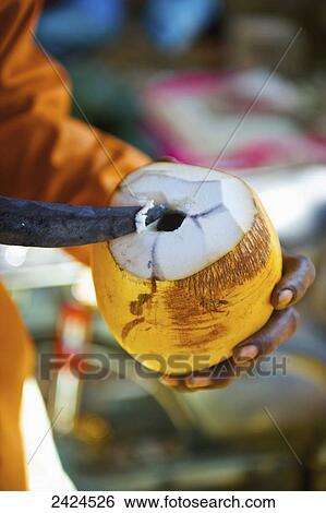 A knife opens a coconut; Ulpotha, Embogama, Sri Lanka View Large Photo Image Stock Photograph - A knife opens a coconut; Ulpotha, Embogama, Sri Lanka. Fotosearch
