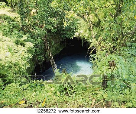 Stock Image - A ladder to Sua waterhole; Upolu Island, Samoa. Fotosearch