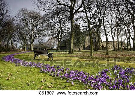 A Large Church In Scenic Setting View Large Photo Image Stock Photo - A Large Church In Scenic Setting. Fotosearch