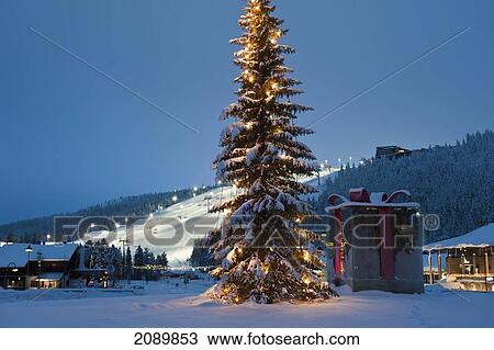 Stock Image - A Large Decorated Christmas Tree In Front Of The Floodlight Ski Slope, Levi, Lapland, Finland. Fotosearch
