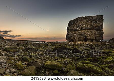 A large rock at the water's edge with moss covered rocks on the ground; South Shields, Tyne and Wear, England View Large Photo Image Stock Photograph - A large rock at the water's edge with moss covered rocks on the ground; South Shields, Tyne and Wear, England. Fotosearch