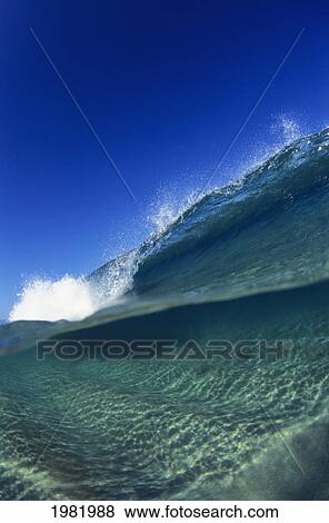 A large wave splashing and forming into a curl View Large Photo Image Stock Photo - A large wave splashing and forming into a curl. Fotosearch