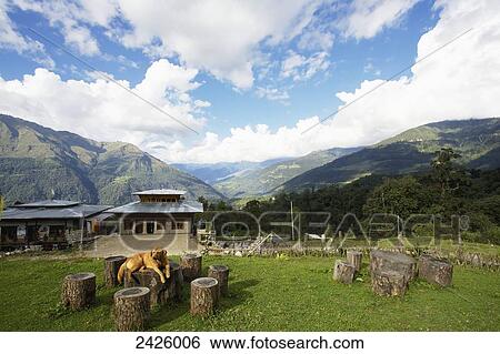 Stock Photograph - A lazy dog sits in front of a cafe; Wangdue Phodrang District, Bhutan. Fotosearch