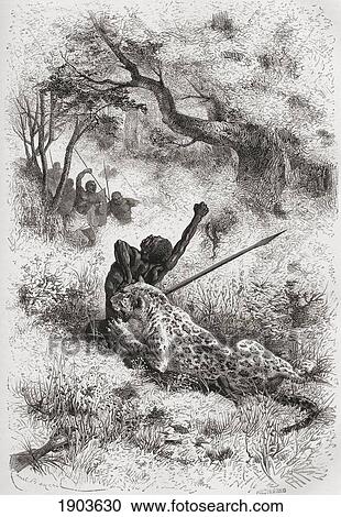 Stock Image - A Leopard Attacking An African Native In The 19Th Century. From El Mundo En La Mano Published 1878.. Fotosearch