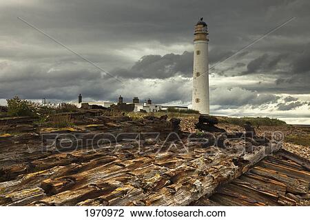 A Lighthouse And Piles Of Logs On The Shore; Lothian Scotland View Large Photo Image Stock Image - A Lighthouse And Piles Of Logs On The Shore; Lothian Scotland. Fotosearch