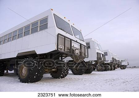 Stock Image - A line of tundra buggies around Hudson Bay; Canada. Fotosearch
