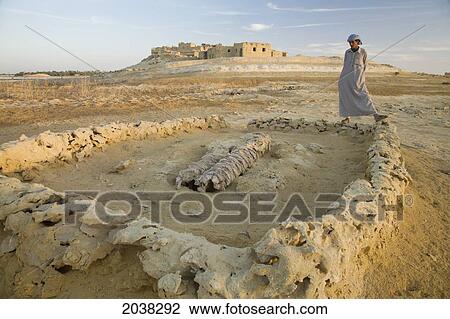 A Local Siwan Man Looks At A Shallow Grave Site Outside Siwa Town At The Siwa Oasis; Siwa Egypt View Large Photo Image Stock Image - A Local Siwan Man Looks At A Shallow Grave Site Outside Siwa Town At The Siwa Oasis; Siwa Egypt. Fotosearch