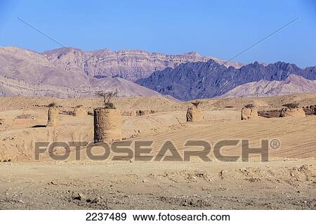 Stock Photo - A Lone Acacia Tree In The Jordan Valley; Israel. Fotosearch