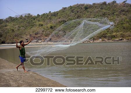 Stock Image - A lone fisherman with a single net he throws into the shallow estuary waters on Palolem beach to catch small fish, Goa, India.. Fotosearch