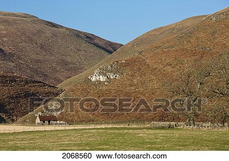 Stock Image - A Lone House At The Base Of Cheviot Hills; Northumberland England. Fotosearch